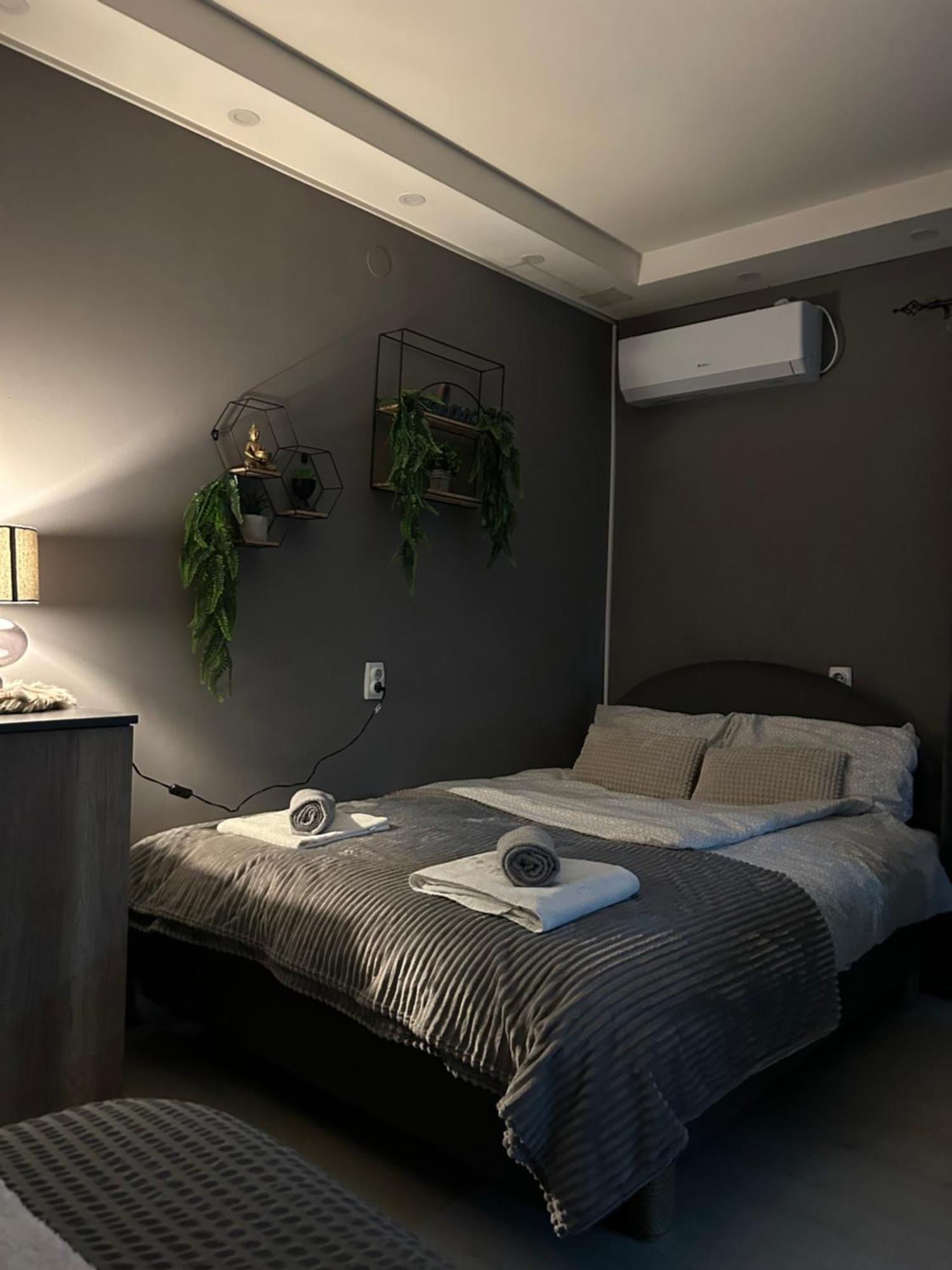 Beta House Apartments Zajecar Exterior photo